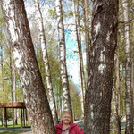 Tana, 64