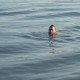 Franck, 58