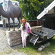elena, 62