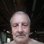 Lesnik, 67